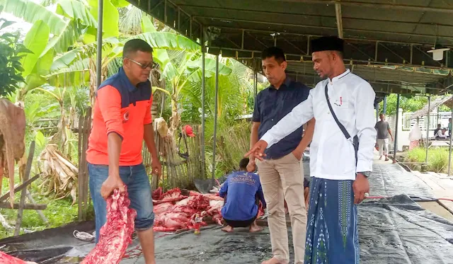 Warga Gampong Meunasah Mesjid, Kecamatan Muara Dua, Kota Lhokseumawe menyembelih 77 hewan qurban, yang terdiri dari 51 sapi dan 26 kambing pada Hari Raya Idul Adha tahun 1445 Hijriyah / 2024 Masehi. Demikian disampaikan Keuchik Gampong Meunasah Mesjid, Drs. H. Murtadha, MSM pada hari Senin (17/6/2024).

Penyembelihan hewan qurban dipimpin oleh Kepala Dusun, Imum Dusun dan Pengurus Serikat Tolong Menolong (STM) masing-masing dusun, yang dikoordinir oleh Pemerintah Gampong Meunasah Mesjid.

Warga Meunasah Mesjid Lhokseumawe Sembelih 77 Hewan Qurban Idul Adha 1445 Hijriyah
Adapun rincian qurban masing dusun yaitu 1) Dusun Kuta Kareung 10 sapi, 1 kambing; 2) Dusun Kapiten Yusuf 7 sapi, 4 kambing; 3) Dusun Meunasah Tuha 4 sapi, 5 kambing; 4) Dusun Teungku Dibangka 7 sapi, 4 kambing; 5) Dusun Teungku Diglee 7 sapi, 3 kambing; 6) Dusun Haji Nafi 9 sapi, 1 kambing; 7) Dusun Keurani Uma 7 sapi, 8 kambing.

Sementara Imum Gampong Gampong Meunasah Mesjid, Tgk. H. M. Diah Ibrahim menjelaskan bahwa daging qurban 51 ekor sapi dan 26 ekor kambing bagikan kepada warga dari 7 dusun yang ada dalam Gampong Meunasah Mesjid.

Warga Meunasah Mesjid Lhokseumawe Sembelih 77 Hewan Qurban Idul Adha 1445 Hijriyah
‘’Setelah sapi dan kambing itu kita sembelih, kemudian panitia memotong kecil-kecil dan dikemas, selanjutnya daging qurban dibagikan kepada warga yang telah diberikan kupon terlebih dulu,’’ tutup Tgk. Imum M. Diah.

Terhadap pelaksanaan qurban ini, berbagai apresiasi positif disampaikan oleh warga. Salah satunya disampaikan oleh Tokoh Pemuda Gampong, Tgk. Ridhwan Yusuf dalam Grup WhatsApp Meunasah Mesjid yang berbunyi "semoga qurban kedepan di Gampong Meunasah Mesjid lebih termotivasi lagi dari total qurban saat ini".  

Warga Meunasah Mesjid Lhokseumawe Sembelih 77 Hewan Qurban Idul Adha 1445 Hijriyah
Menurutnya arisan qurban sangat membantu sekali bagi pekurban untuk melunasi dengan cara cicil yang dikelola Kepala Dusun dan Imum Dusun, pungkas Tgk. Ridhwan yang aktif sebagai Pengurus BKM Masjid Al-Mabrur.

Warga Meunasah Mesjid Lhokseumawe Sembelih 77 Hewan Qurban Idul Adha 1445 Hijriyah
Mengutip pernyataan salah seorang Tokoh Masyarakat Meunasah Mesjid Dr. Tgk. Hamdani, MA yang juga Ketua BKM Masjid Al-Mabrur bahwa Qurban merupakan salah satu sembelihan yang disyariatkan sebagai ibadah dan amalan mendekatkan diri kepada Allah SWT. Hal inilah yang dinyatakan Ibnul Qayyim dalam pernyataannya: "Sembelihan-sembelihan yang menjadi amalan mendekatkan diri kepada Allah dan ibadah adalah Al-Hadyu, Al-Adhhiyah (Kurban) dan Al-Aqiqah disyariatkannya kurban sudah merupakan ijma yang disepakati kaum muslimin.

Galeri: Foto Kegiatan Sembelih 77 Hewan Qurban Idul Adha 1445 Hijriyah