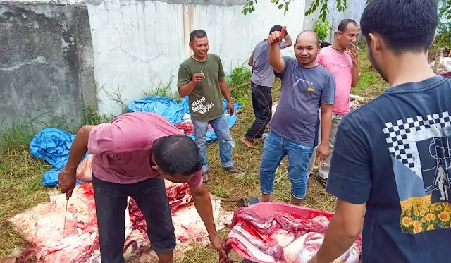 Warga Gampong Meunasah Mesjid, Kecamatan Muara Dua, Kota Lhokseumawe menyembelih 77 hewan qurban, yang terdiri dari 51 sapi dan 26 kambing pada Hari Raya Idul Adha tahun 1445 Hijriyah / 2024 Masehi. Demikian disampaikan Keuchik Gampong Meunasah Mesjid, Drs. H. Murtadha, MSM pada hari Senin (17/6/2024).

Penyembelihan hewan qurban dipimpin oleh Kepala Dusun, Imum Dusun dan Pengurus Serikat Tolong Menolong (STM) masing-masing dusun, yang dikoordinir oleh Pemerintah Gampong Meunasah Mesjid.

Warga Meunasah Mesjid Lhokseumawe Sembelih 77 Hewan Qurban Idul Adha 1445 Hijriyah
Adapun rincian qurban masing dusun yaitu 1) Dusun Kuta Kareung 10 sapi, 1 kambing; 2) Dusun Kapiten Yusuf 7 sapi, 4 kambing; 3) Dusun Meunasah Tuha 4 sapi, 5 kambing; 4) Dusun Teungku Dibangka 7 sapi, 4 kambing; 5) Dusun Teungku Diglee 7 sapi, 3 kambing; 6) Dusun Haji Nafi 9 sapi, 1 kambing; 7) Dusun Keurani Uma 7 sapi, 8 kambing.

Sementara Imum Gampong Gampong Meunasah Mesjid, Tgk. H. M. Diah Ibrahim menjelaskan bahwa daging qurban 51 ekor sapi dan 26 ekor kambing bagikan kepada warga dari 7 dusun yang ada dalam Gampong Meunasah Mesjid.

Warga Meunasah Mesjid Lhokseumawe Sembelih 77 Hewan Qurban Idul Adha 1445 Hijriyah
‘’Setelah sapi dan kambing itu kita sembelih, kemudian panitia memotong kecil-kecil dan dikemas, selanjutnya daging qurban dibagikan kepada warga yang telah diberikan kupon terlebih dulu,’’ tutup Tgk. Imum M. Diah.

Terhadap pelaksanaan qurban ini, berbagai apresiasi positif disampaikan oleh warga. Salah satunya disampaikan oleh Tokoh Pemuda Gampong, Tgk. Ridhwan Yusuf dalam Grup WhatsApp Meunasah Mesjid yang berbunyi "semoga qurban kedepan di Gampong Meunasah Mesjid lebih termotivasi lagi dari total qurban saat ini".  

Warga Meunasah Mesjid Lhokseumawe Sembelih 77 Hewan Qurban Idul Adha 1445 Hijriyah
Menurutnya arisan qurban sangat membantu sekali bagi pekurban untuk melunasi dengan cara cicil yang dikelola Kepala Dusun dan Imum Dusun, pungkas Tgk. Ridhwan yang aktif sebagai Pengurus BKM Masjid Al-Mabrur.

Warga Meunasah Mesjid Lhokseumawe Sembelih 77 Hewan Qurban Idul Adha 1445 Hijriyah
Mengutip pernyataan salah seorang Tokoh Masyarakat Meunasah Mesjid Dr. Tgk. Hamdani, MA yang juga Ketua BKM Masjid Al-Mabrur bahwa Qurban merupakan salah satu sembelihan yang disyariatkan sebagai ibadah dan amalan mendekatkan diri kepada Allah SWT. Hal inilah yang dinyatakan Ibnul Qayyim dalam pernyataannya: "Sembelihan-sembelihan yang menjadi amalan mendekatkan diri kepada Allah dan ibadah adalah Al-Hadyu, Al-Adhhiyah (Kurban) dan Al-Aqiqah disyariatkannya kurban sudah merupakan ijma yang disepakati kaum muslimin.

Galeri: Foto Kegiatan Sembelih 77 Hewan Qurban Idul Adha 1445 Hijriyah