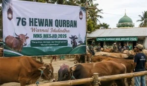 76 Hewan Qurban Warnai Iduladha Mns Mesjid 2026